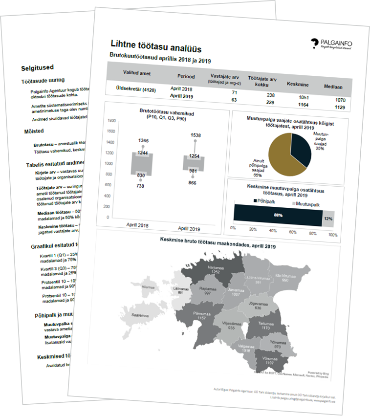 Lihtne tootasu analuus ks2019 raporti pilt